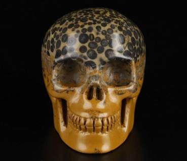 Leopardenhaut Jaspis Skull